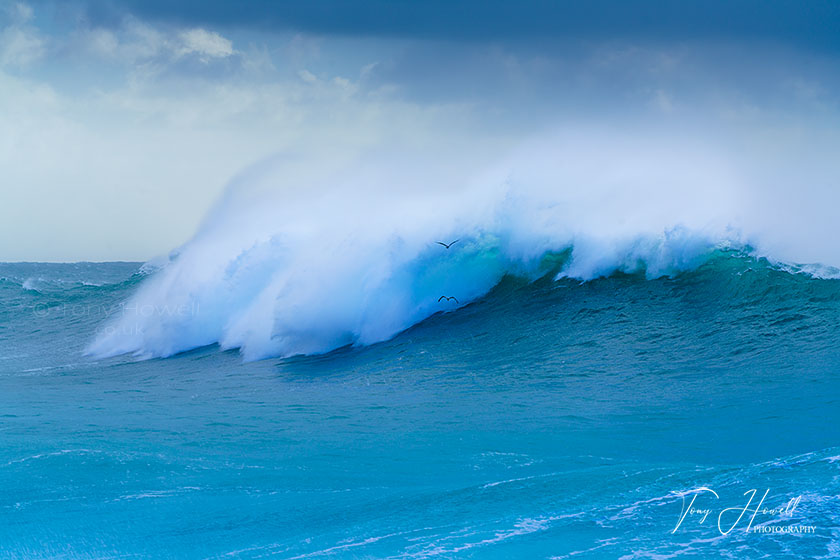 Porthcurno, Gulls, Wave, Storm