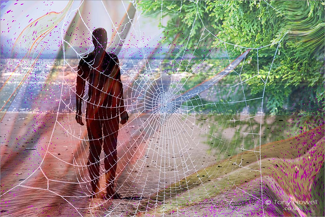 Web Of Dreams (Photoshop Creation)