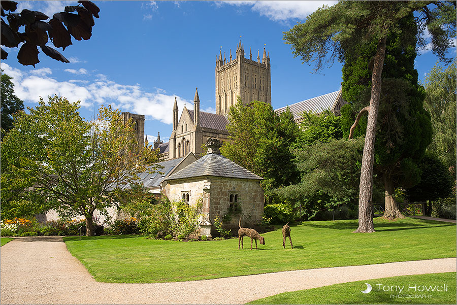 Wells Cathedral