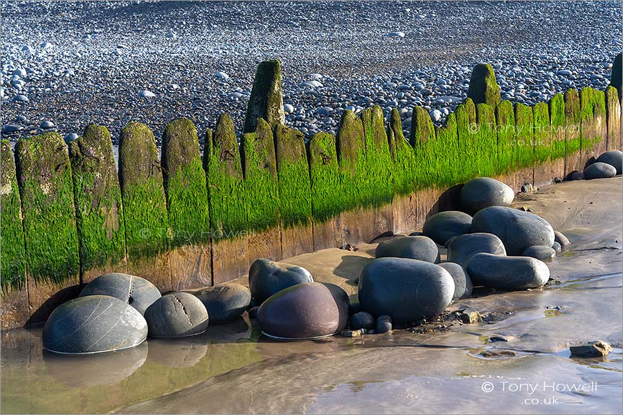 Pebbles, Westward Ho!