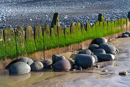 Pebbles, Westward Ho!