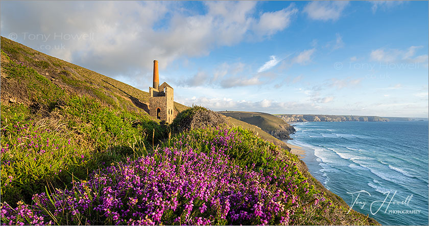 Wheal Coates, Heather