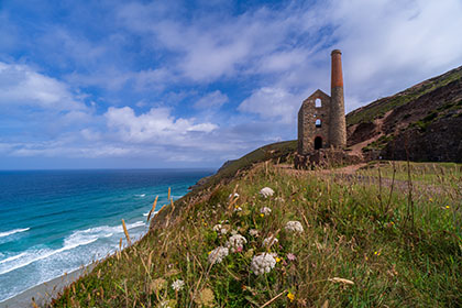 Wheal-Coates-Sea-Carrot-Cornwall-AR3367