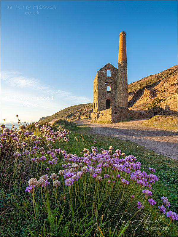 Wheal Coates, Thrift