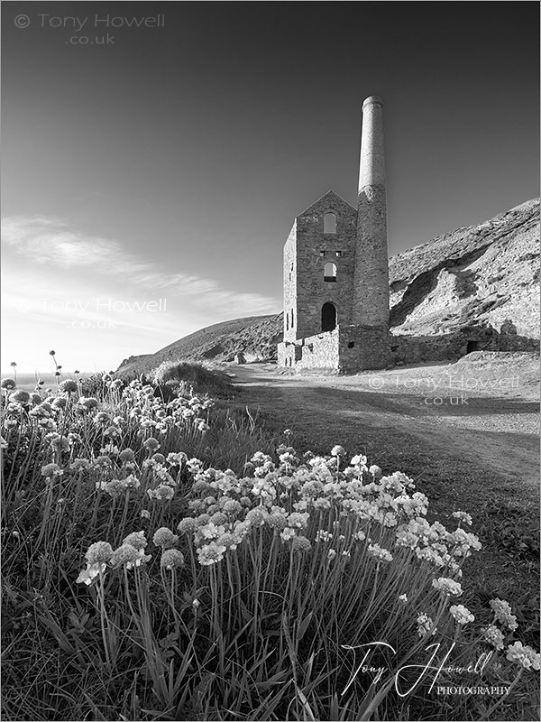 Wheal Coates, Thrift