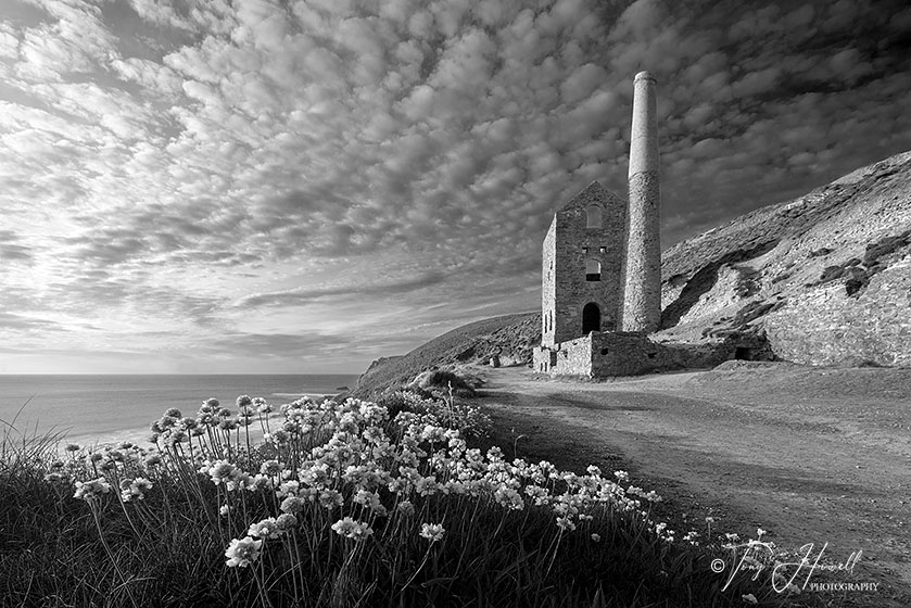 Wheal Coates, Thrift