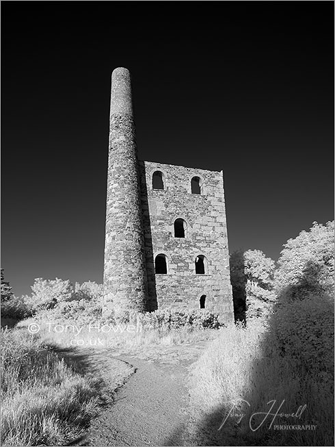 Wheal Peevor Tin Mine, Infrared Camera (makes foliage turn white)