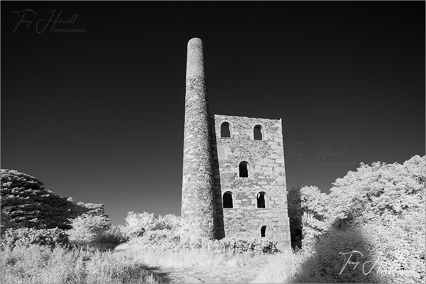 Wheal Peevor Tin Mine, Infrared Camera (makes foliage turn white)