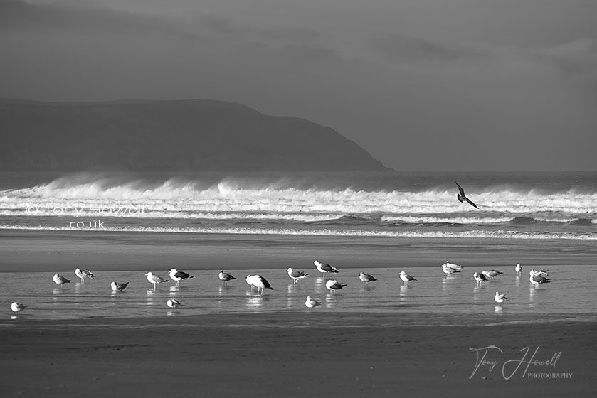 Woolacombe Beach
