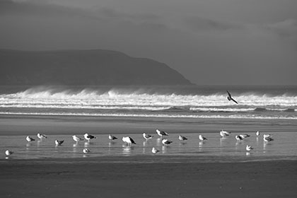 Woolacombe-Beach-Baggy-Point