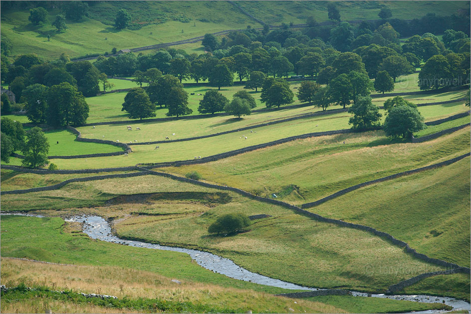 View near Arncliffe