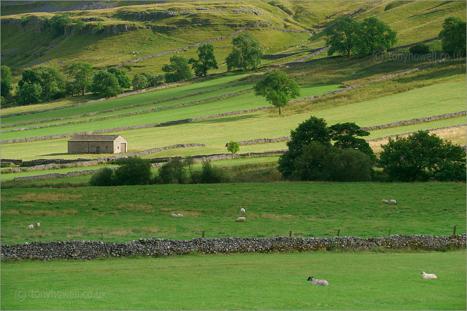 Walls and Barn, Kettlewell