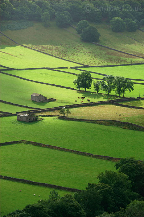 Walls and Barns, Kettlewell