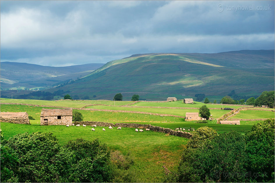 Walls and Barns, Wensleydale