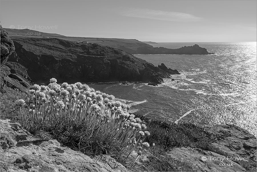 Zennor, Thrift, Gurnards Head