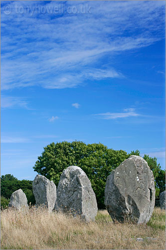 Alignements du Menec, Carnac