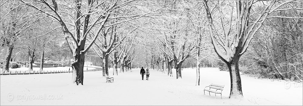 Clifton Promenade, Snow