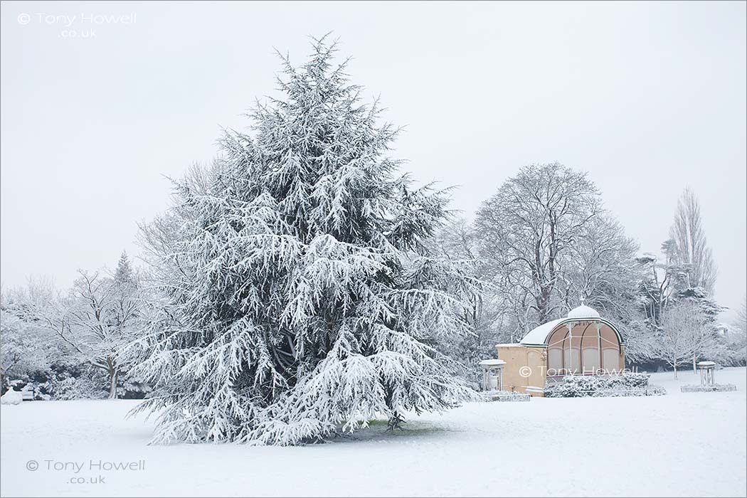 Bath, Fir Tree, Snow, Bandstand