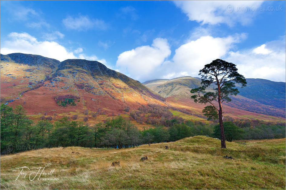 Ben Nevis