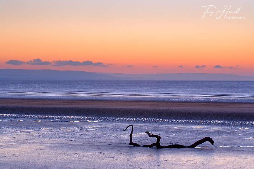 Driftwood, Dusk 