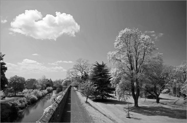 Bishops Palace Garden