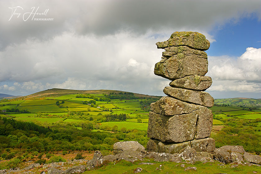 Bowermans Nose