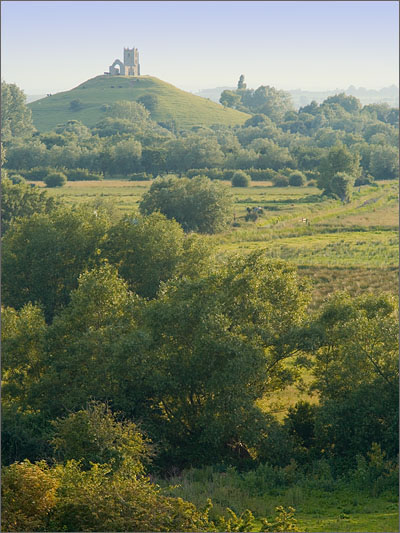 Burrow Mump