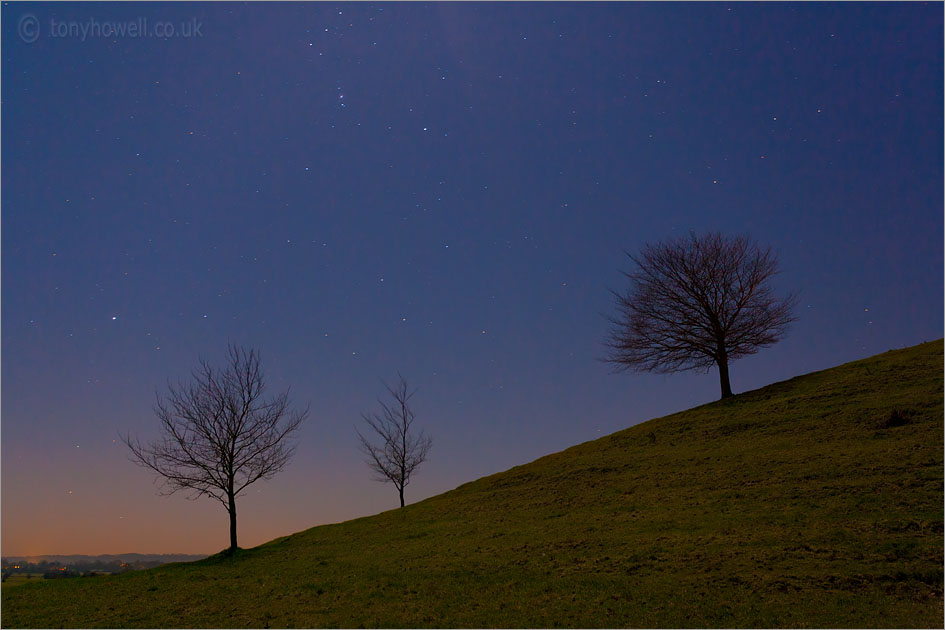 Trees, Stars