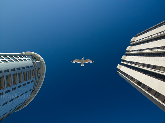 Cabot Circus, Harvey Nichols, Castlemead (Composite Image)