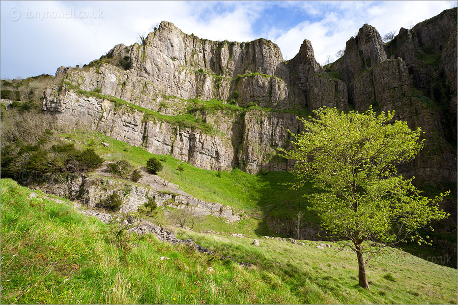 Cheddar Gorge