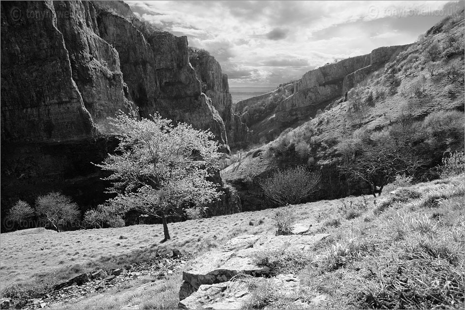 Cheddar Gorge