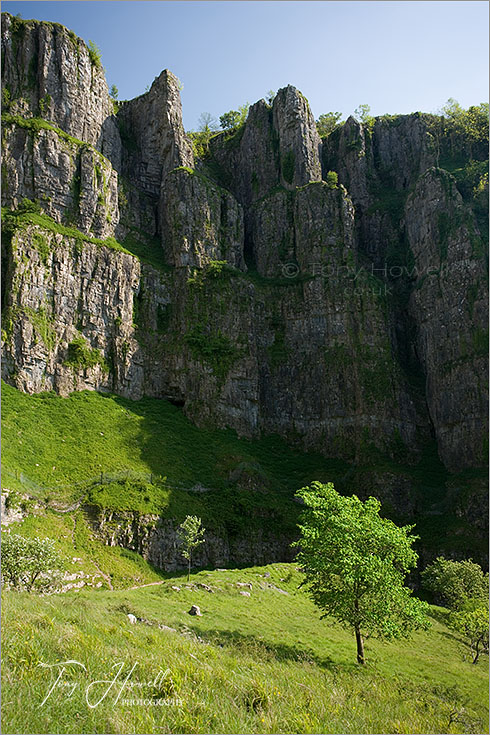 Cheddar Gorge