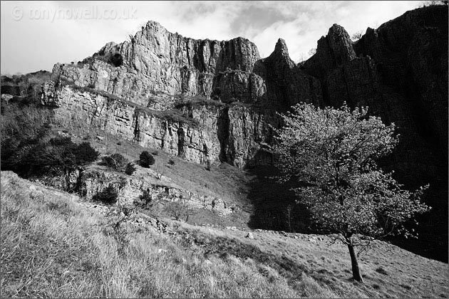 Cheddar Gorge 