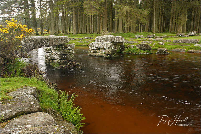 Clapper Bridge, Bellever