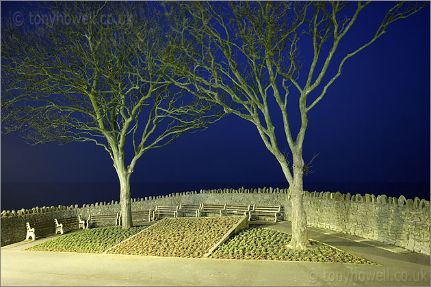 Trees, Night, Clevedon 