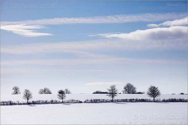 The Cotswolds, Trees, Snow