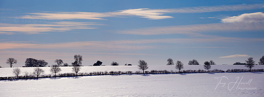 The Cotswolds, Trees, Snow