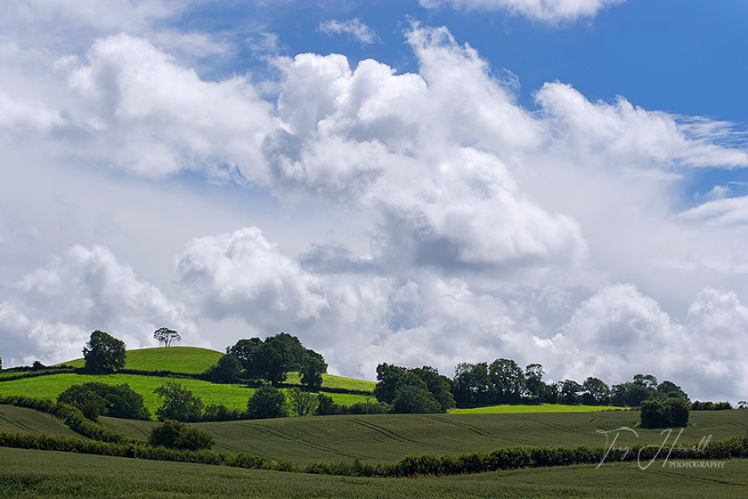 Pastoral Scene