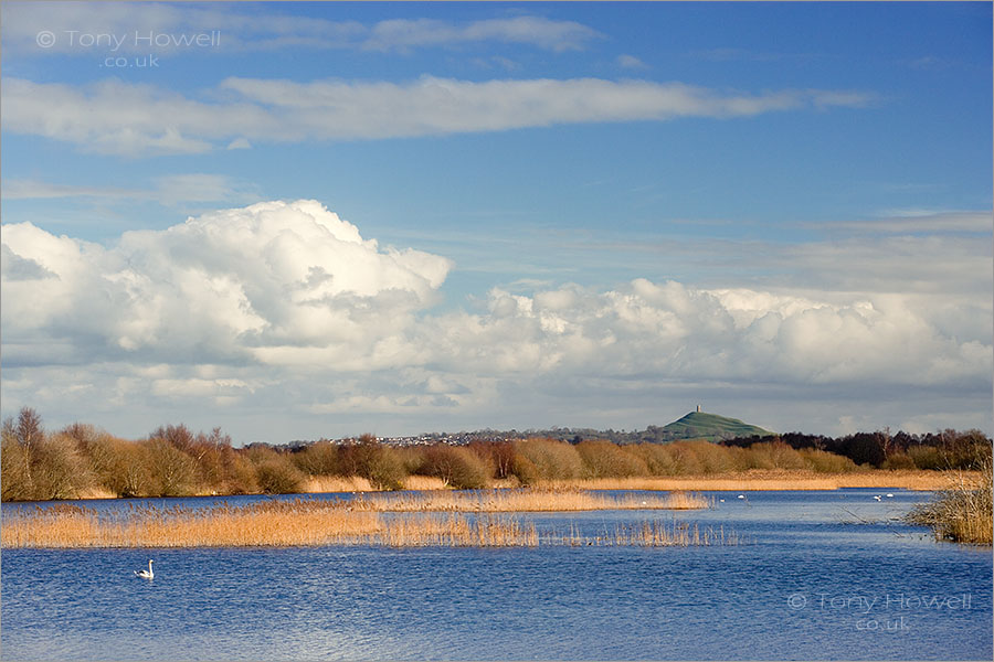 Shapwick Heath and Glastonbury Tor