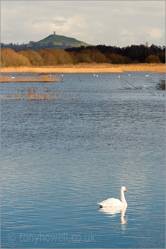 Shapwick Heath, Glastonbury Tor 