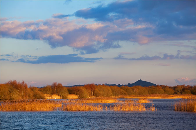 Glastonbury Tor from Shapwick Heath