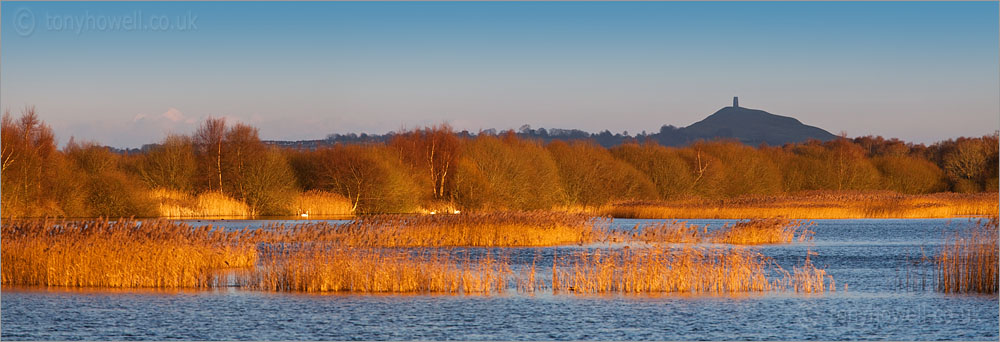 Glastonbury Tor from Shapwick Heath