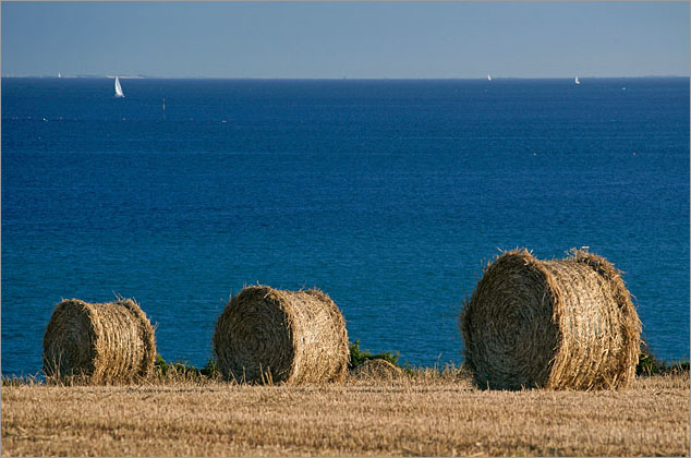 Hay Bales, Baie de la Foret, near Fouesnant