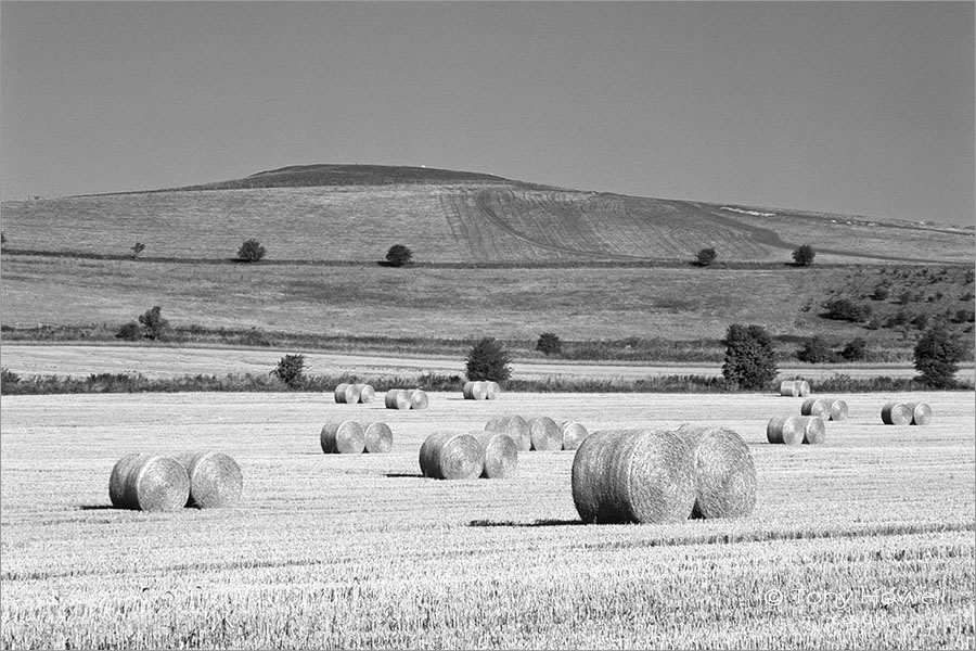 Hay Bales, Vale of Pewsey