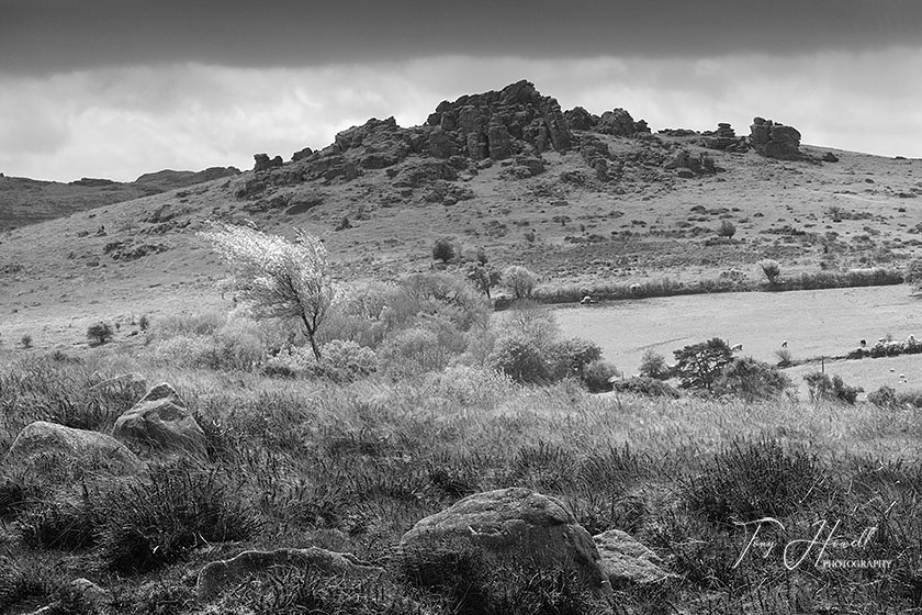 Hound Tor