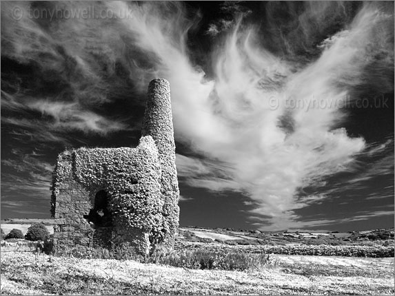 Ivy Covered Tin Mine, Redruth