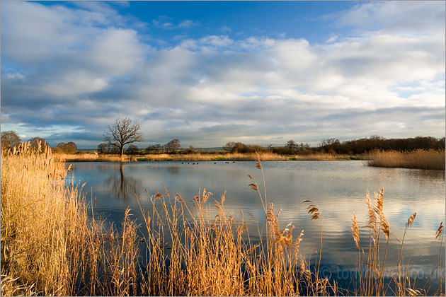 Lake near Westhay 