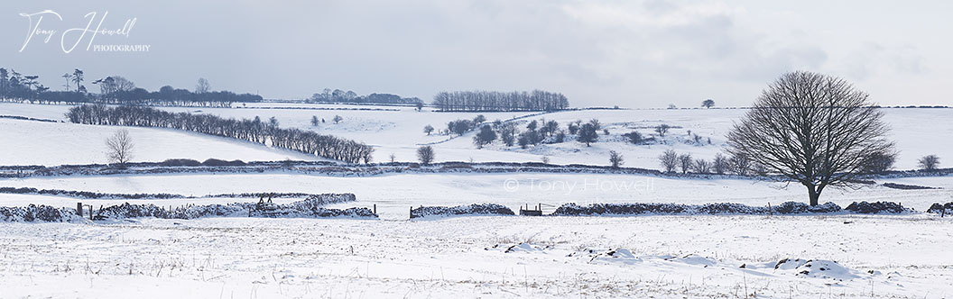 Snow Scene near Priddy