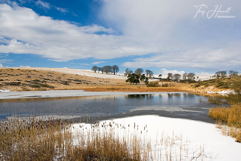 Priddy Ponds, Snow