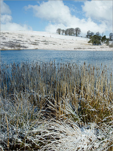 Priddy Ponds, Snow